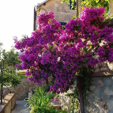 Apartment Matilda Dubrovnik