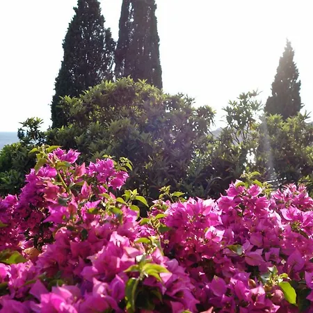 Matilda Appartamento *