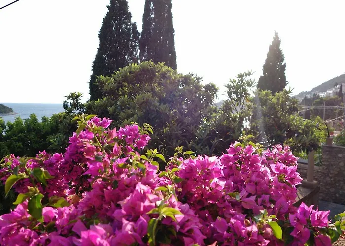 Matilda Appartamento *